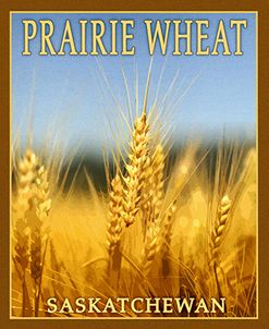 Praire Wheat,