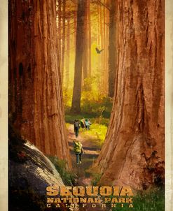 Sequoia