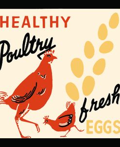 Healthy Poultry-Fresh Eggs