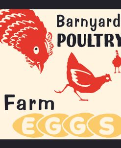 Barnyard Poultry-Farm Eggs