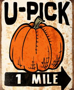 D104574 U-Pick Pumpkin