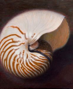 Nautilus