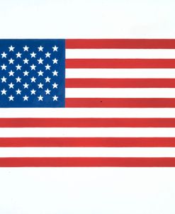 American Flag 1