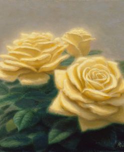 Yellow Roses