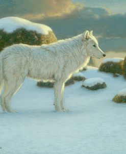 White Wolf