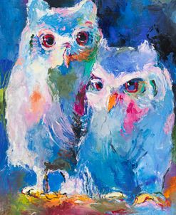 Owls