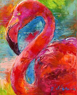 Flamingo