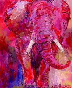 Pink Elephant