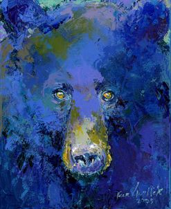 Blue Black Bear