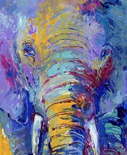 Elephant Bird