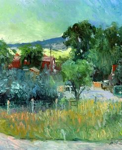 Rooney Ranch 4