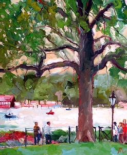 The Park
