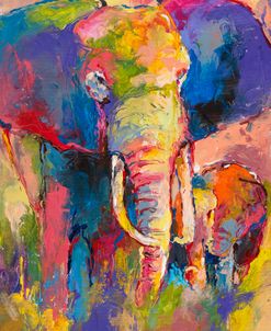 Elephant 1