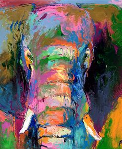 Elephant 2