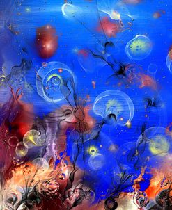 Jellyfishes 2