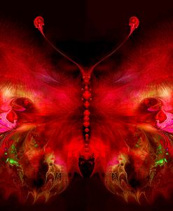 Butterfly 8