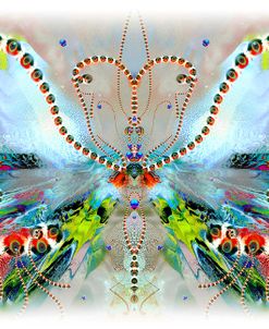 Butterfly 2