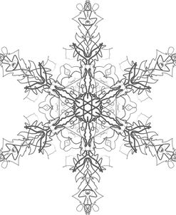 Snowflake 1