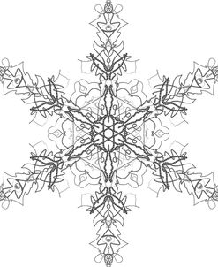 Snowflake 1