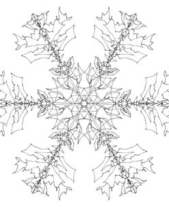 Snowflake 6