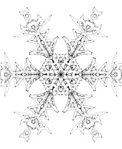 Snowflake 9