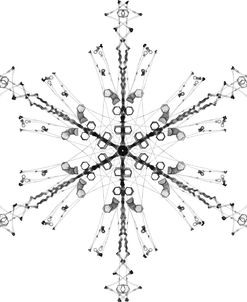 Snowflake 13
