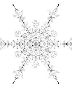 Snowflake 19