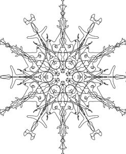 Snowflake 20