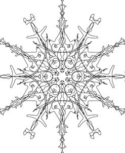Snowflake 20