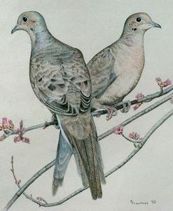 Two Birds On Branch