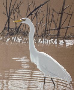 Great Egret