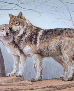 Two Wolves