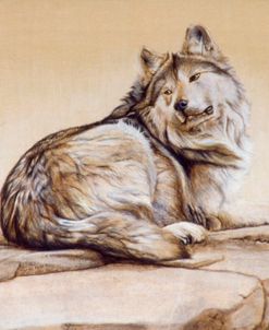 El Lobo