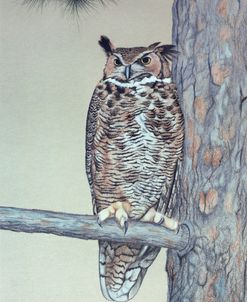 Owl Two