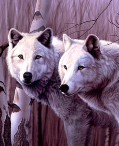 A Pair Of White Wolves