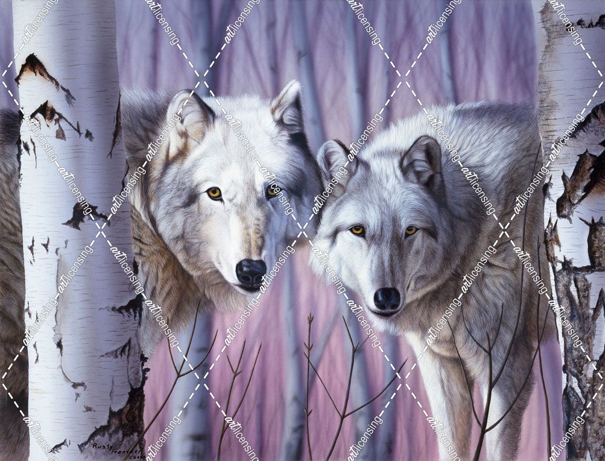White Wolves By Birch