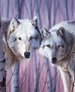 White Wolves By Birch