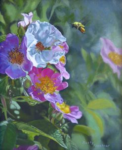 Rusty Frentner Wild Roses Oil