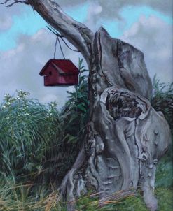 Bird House