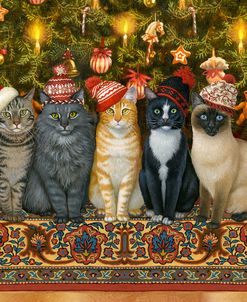 Cats In Christmas Hats