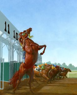 The Island Stallion Races