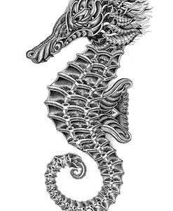 Seahorse