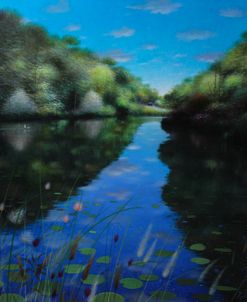 Water Lillies and Summer Skies