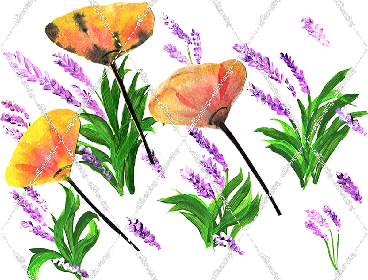 Poppies And Lavender