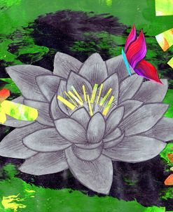 Lotus Flower