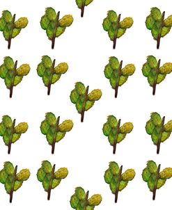 Cactus On White