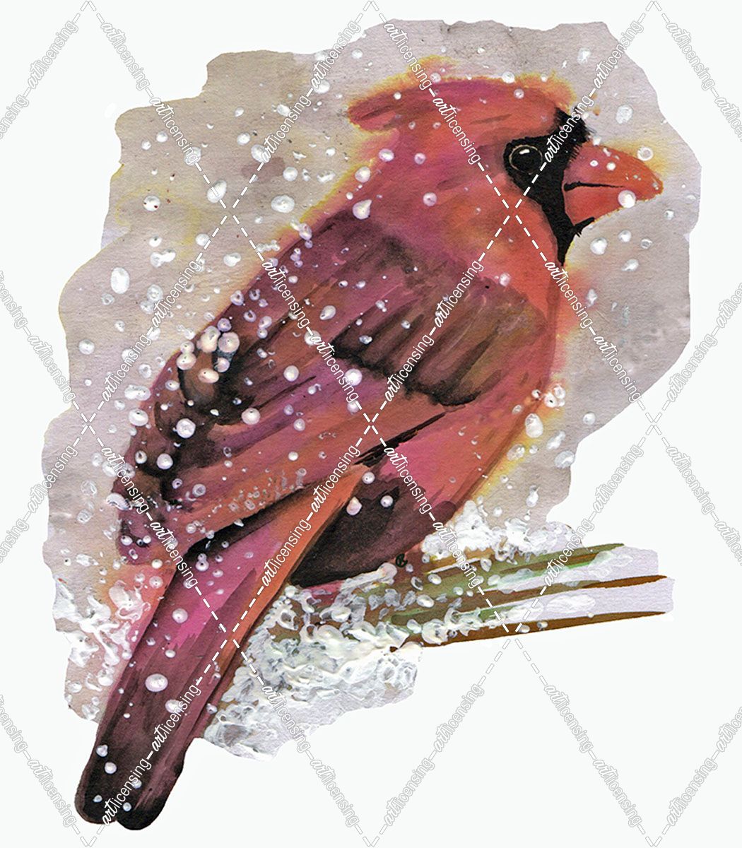 Cardinal Bird in the Snow