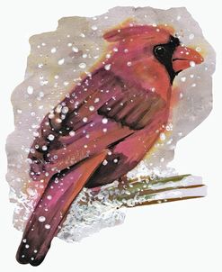 Cardinal Bird in the Snow