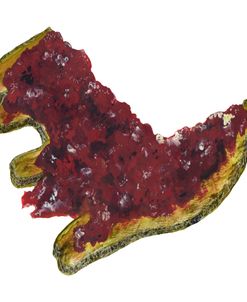Dinosaur toast with strawberry jam