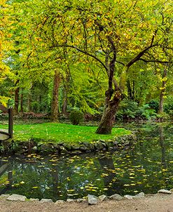 Alfred Nicholas Gardens